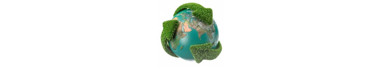 Ambiente e business sostenibile